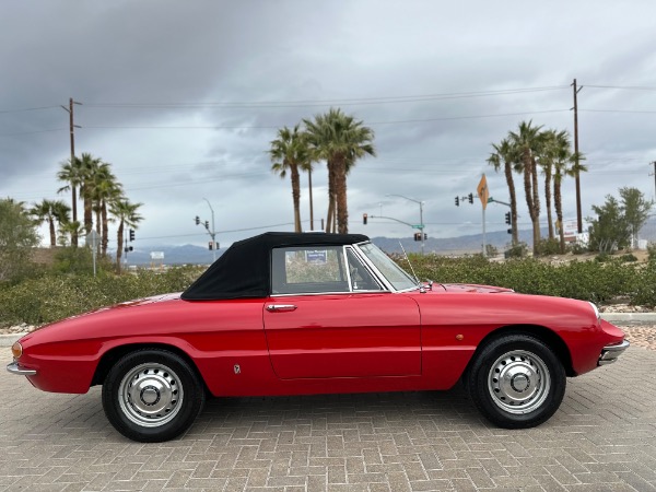 Used-1967-Alfa-Romeo-Spider