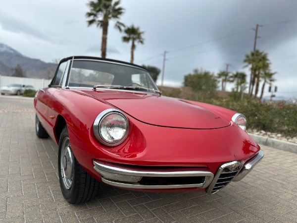 Used-1967-Alfa-Romeo-Spider