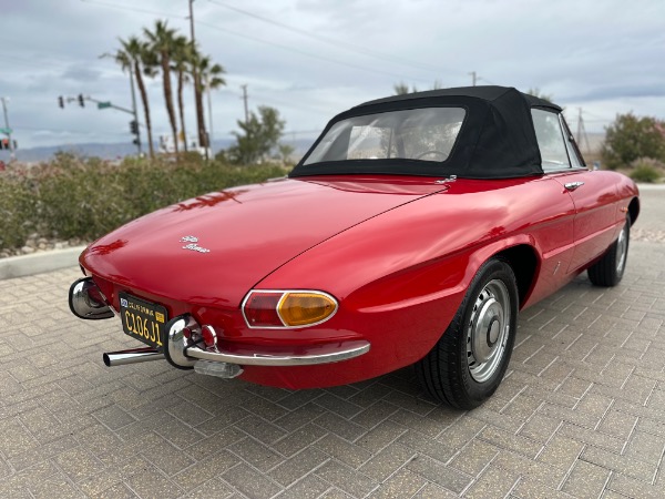 Used-1967-Alfa-Romeo-Spider