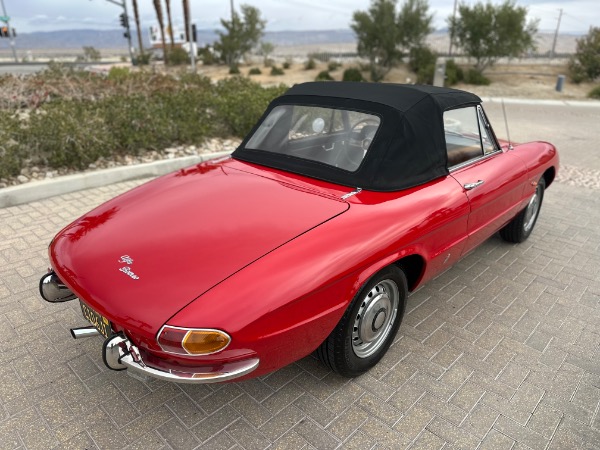 Used-1967-Alfa-Romeo-Spider