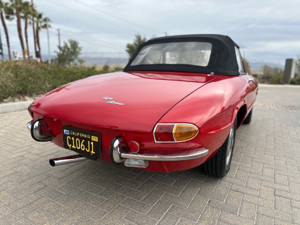 Used-1967-Alfa-Romeo-Spider
