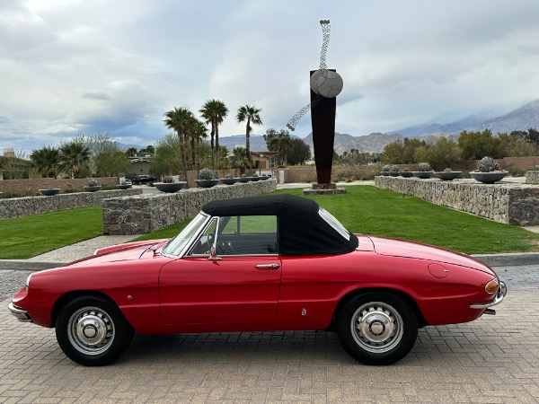 Used-1967-Alfa-Romeo-Spider