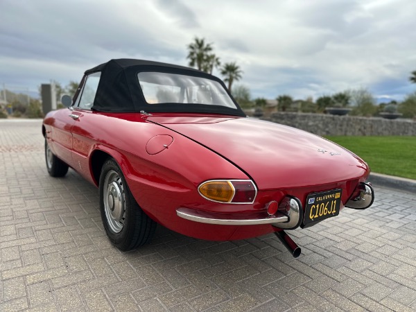 Used-1967-Alfa-Romeo-Spider