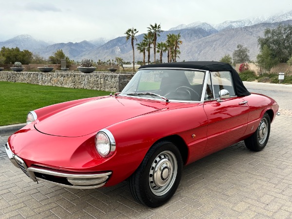 Used-1967-Alfa-Romeo-Spider