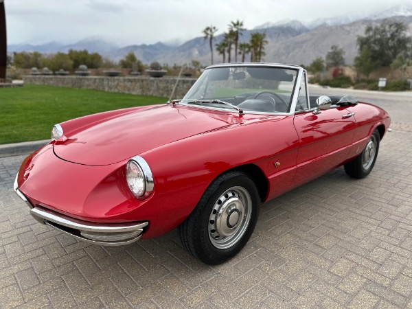 Used-1967-Alfa-Romeo-Spider