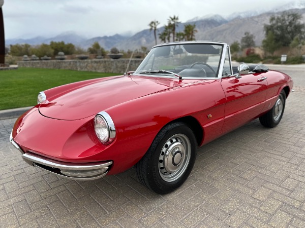 Used-1967-Alfa-Romeo-Spider