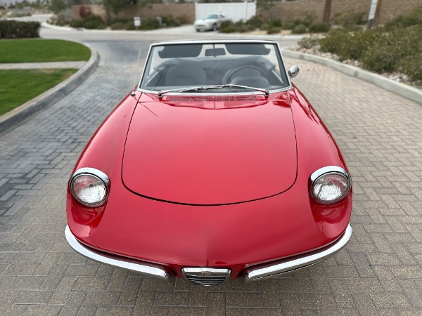 Used-1967-Alfa-Romeo-Spider