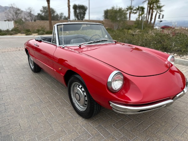 Used-1967-Alfa-Romeo-Spider
