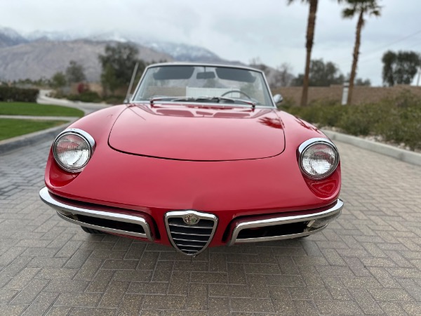 Used-1967-Alfa-Romeo-Spider