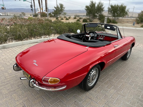 Used-1967-Alfa-Romeo-Spider