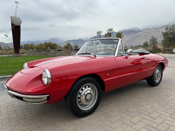 Used-1967-Alfa-Romeo-Spider