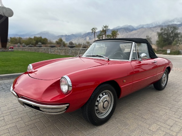 Used-1967-Alfa-Romeo-Spider