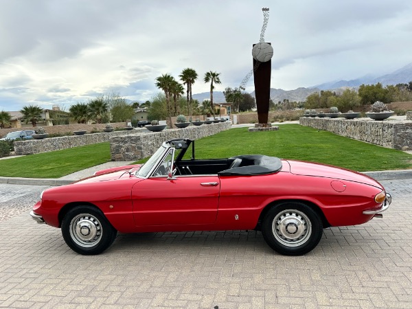 Used-1967-Alfa-Romeo-Spider