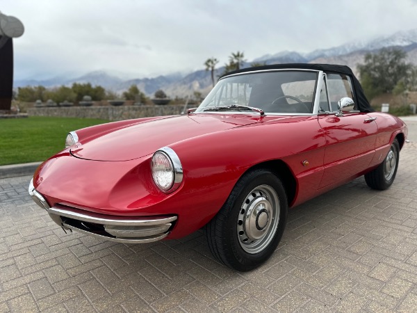 Used-1967-Alfa-Romeo-Spider