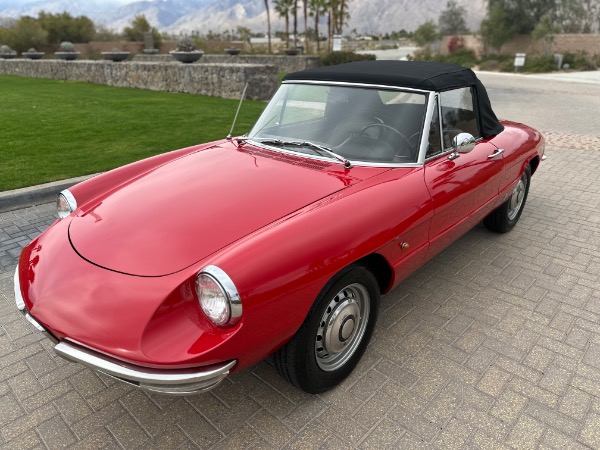 Used-1967-Alfa-Romeo-Spider