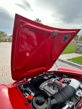 Used-1967-Alfa-Romeo-Spider