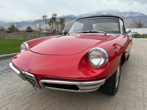 Used-1967-Alfa-Romeo-Spider
