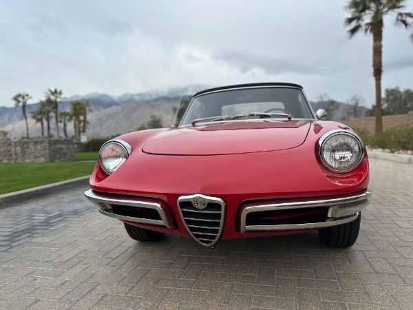 Used-1967-Alfa-Romeo-Spider