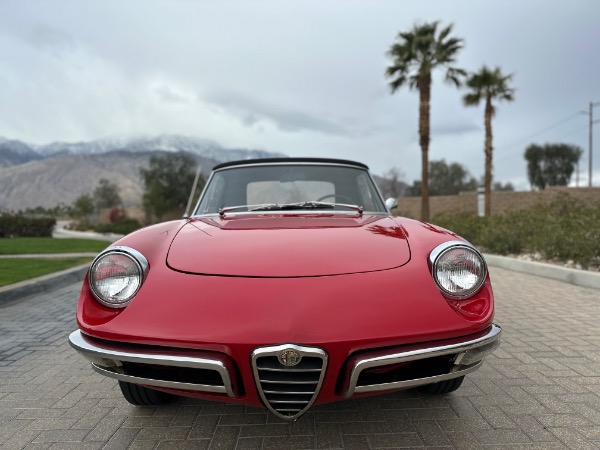 Used-1967-Alfa-Romeo-Spider