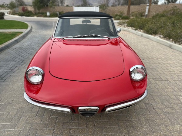 Used-1967-Alfa-Romeo-Spider