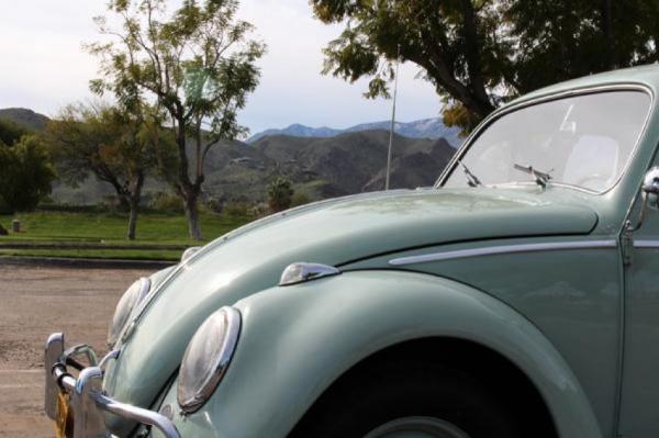 Used-1962-Volkswagen-Beetle