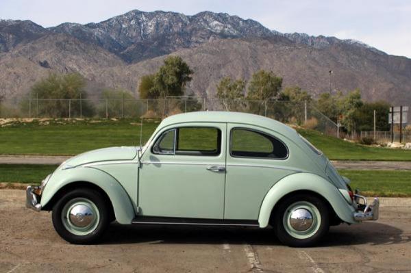 Used-1962-Volkswagen-Beetle