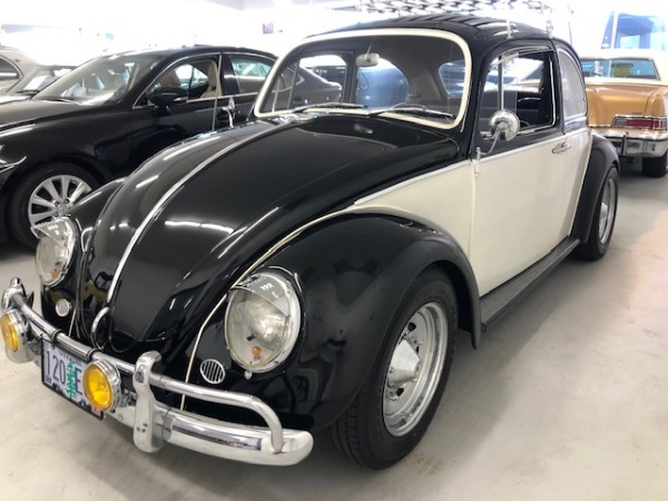 Used-1966-Volkswagon-Beetle