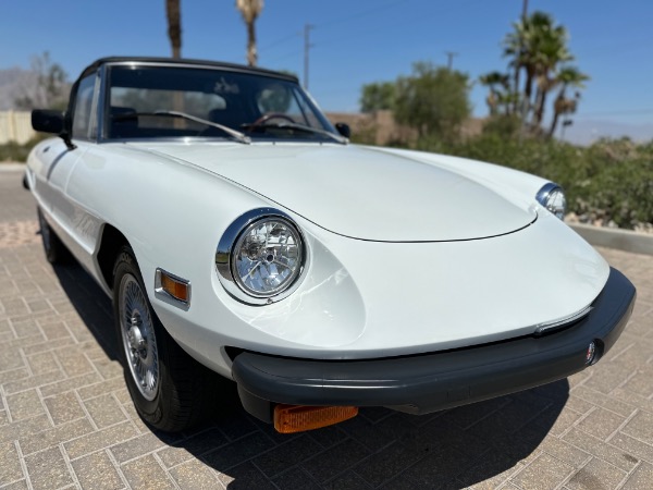 Used-1976-Alfa-Romeo-Spider