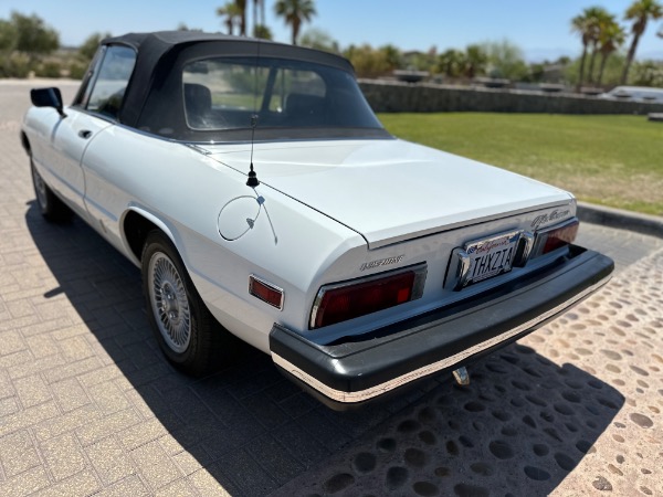 Used-1976-Alfa-Romeo-Spider
