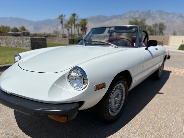 Used-1976-Alfa-Romeo-Spider