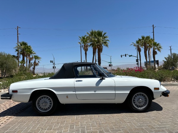 Used-1976-Alfa-Romeo-Spider