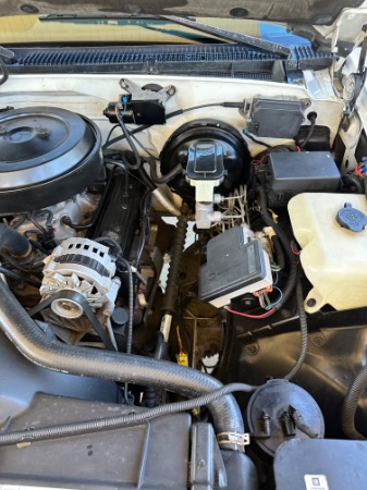 Used-1995-Chevrolet-C/K-1500-Series-K1500-Silverado